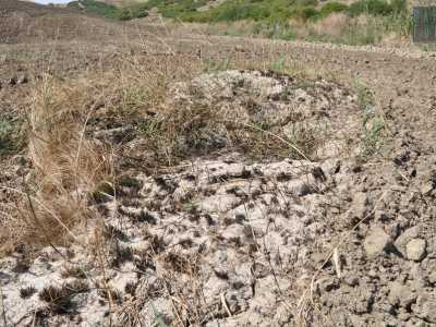 Prima di salire a visitare il cratere, ci dirigiamo verso quella che sembra essere una bocca pi� piccola: in realt� � un vulcanello pi� piccolo. Ci mettiamo qualche minuto per trovarlo, perch� totalmente coperto dalla vegetazione: lo riconosciamo solo grazie alla roccia ricoperta di fango solidificato